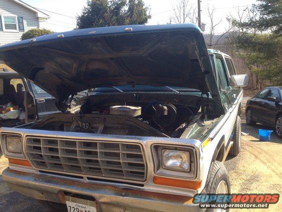 Green and white 1978 Ford Bronco with hood open, showing engine bay. Front grille and headlights visible