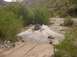 1988 Ford Bronco - An SUV navigates a river crossing on a dirt path, surrounded by lush greenery and rocky terrain.