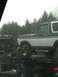 1979 Ford Bronco photo