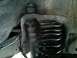 1996 Ford Bronco - f250 superduty bilstien shocks next to deaver 4" coil