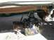 1987 Ford Bronco - here is the problem; 120+ lbs of NP435, gravel driveway and no one i can really depend on to help me throw it in...