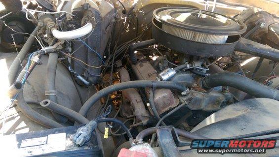 Engine bay with hoses, wires, and air cleaner visible