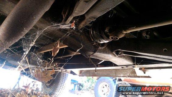 Underside of a vehicle with cobwebs and leaves. Another vehicle is visible in the background