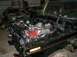 1978 Ford Bronco photo