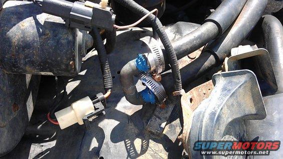 Engine bay with hoses, connectors, and metal brackets. A blue substance is visible on a hose clamp
