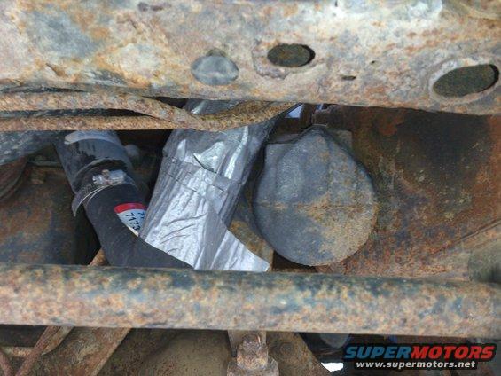 Lower Rad Hose