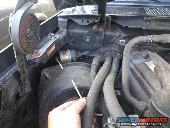 Close-up of engine bay with hoses and a hand holding a stick near a component