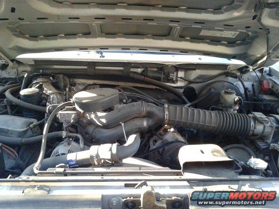 Engine compartment with hoses and air intake