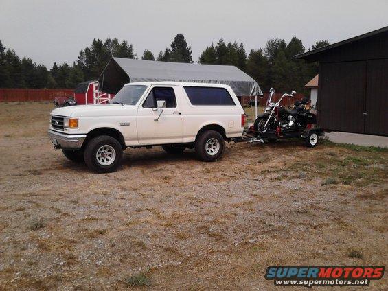 bronco_trailers_hog-(4).jpg 