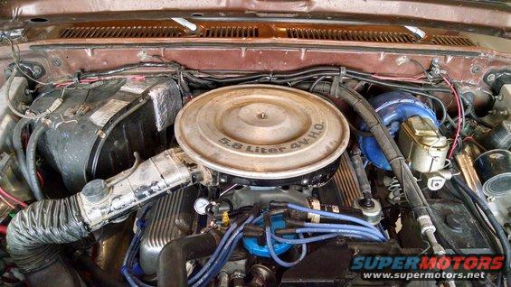 Engine bay of a 1979 Ford F-150, showing the 5.8 Liter 4V HO engine with a dual snorkel air cleaner