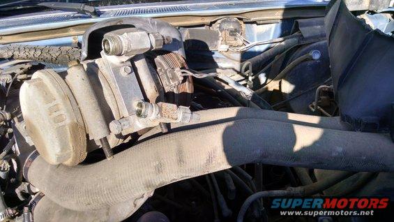engine bay with hoses, a power steering pump, and other engine components