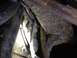 1973 Ford Bronco - The Two lines from the Evap. Tank running from the inner driver's side rear fender well hanging next to the driver's side of the gas tank (…