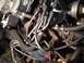 1973 Ford Bronco - Engine bay detail with carburetor and spark plug wires visible.