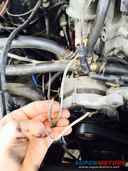 Engine bay with hand holding frayed wires near alternator and belt