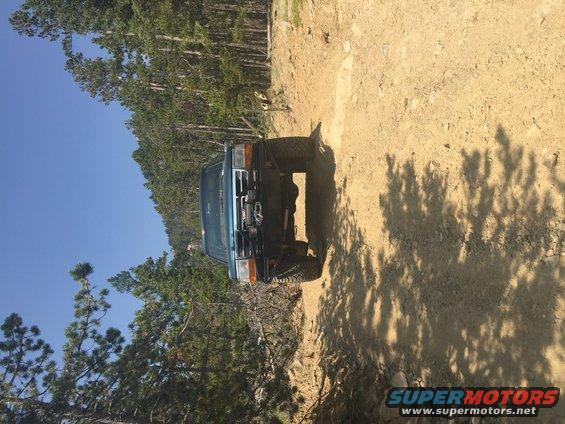 Blue SUV parked on a dirt road with trees on the left and shadows on the right