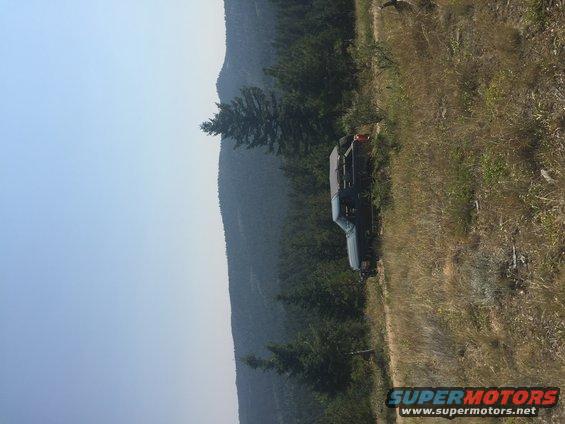 Dark blue Ford Bronco parked on a grassy hillside with trees and mountains in the background