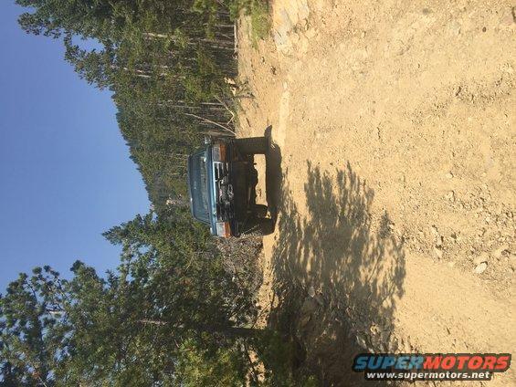 blue SUV on a dirt road with trees and blue sky