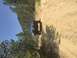 1994 Ford Bronco photo