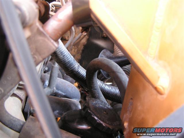003_cap-clearance-(small).jpg 