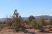 1989 Ford Bronco - A wide view of a dry, arid landscape with vegetation and distant hills.