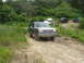 1995 Ford Bronco