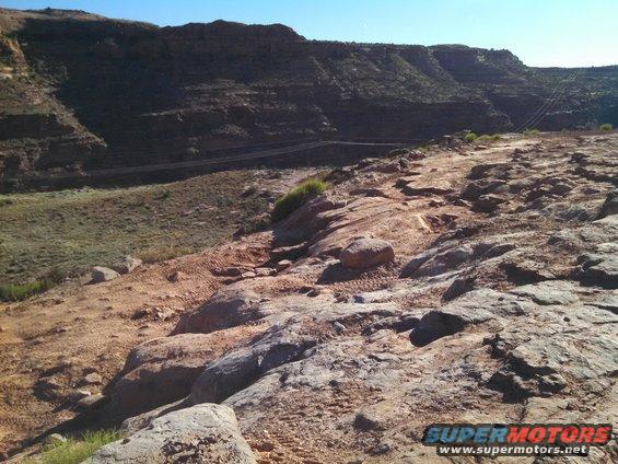 img_20150428_174558_296.jpg Poison Spider