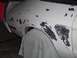 1978 Ford Mustang II - Isn't bodywork fun?