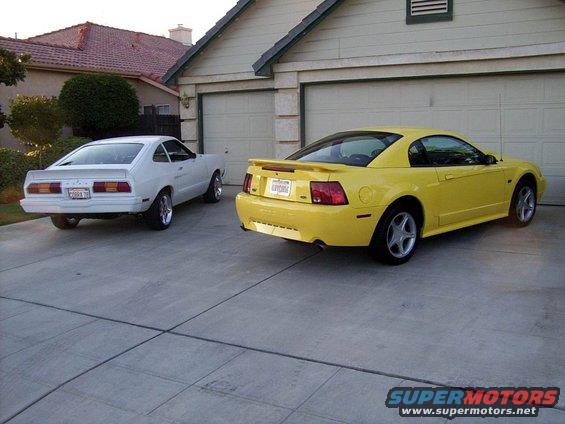 picture_0015.jpg My Corral