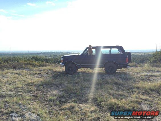 1993 Ford Bronco parked on a grassy hill with a dog in the driver's window