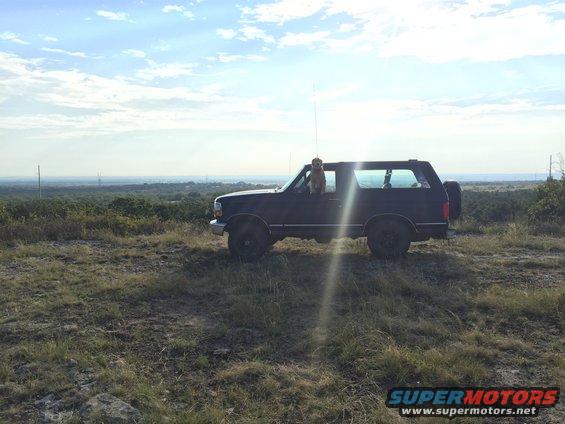 Dark blue Ford Bronco parked on a grassy hill with a dog in the driver's window