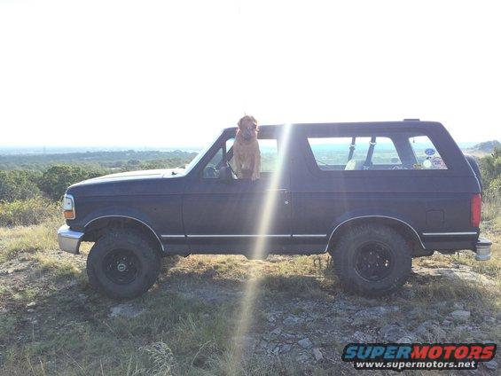 Dark SUV with a dog in the driver's window, parked on a grassy hill