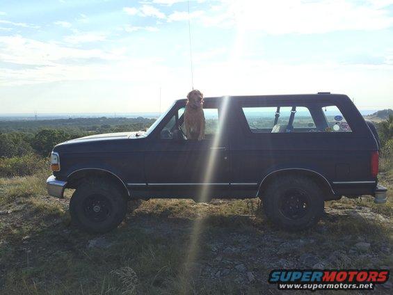 1993 Ford Bronco side view with dog in window