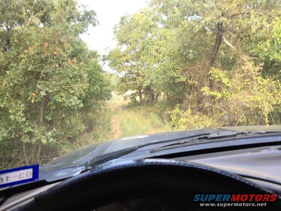 Dashboard view from inside a vehicle driving on a dirt road surrounded by trees. A blue license plate is visible on the left