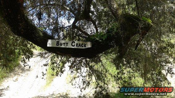 Wooden sign reading 'Butt Crack' attached to a large tree branch overhanging a dirt path