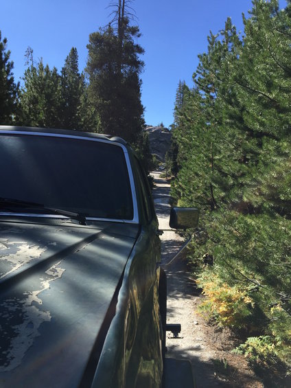 Side view of an old SUV on a dirt road, surrounded by trees. Paint is peeling