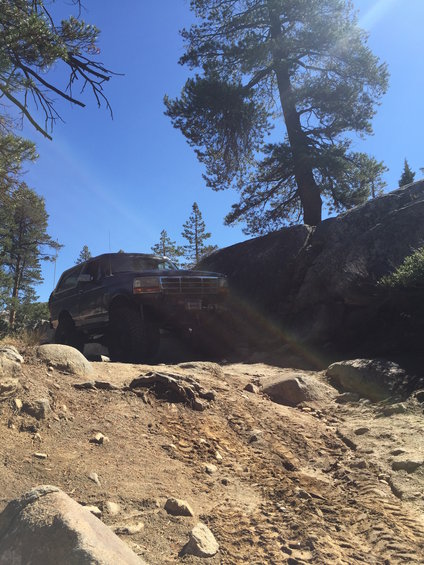 Dark blue Ford Bronco navigating a steep, rocky trail with trees and boulders