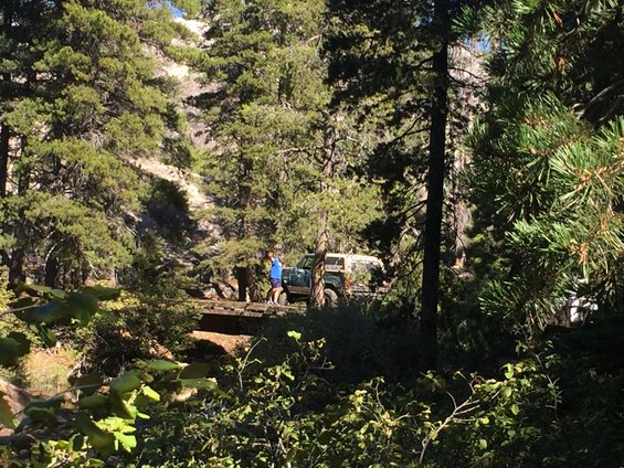 Green 1989 Ford Bronco on wooden bridge in forest