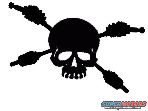 cv-crossbones-copy.jpg 