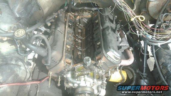 1.jpg Pulled the intake manifold to swap it to the earlier GT40 intake. the 98 Intake uses external EGR with a tube running to the exhaust and uses a DPFE sensor. because i am use a 96 computer instead that uses EVP with an internal EGR system, im swapping to the newer intake. it will also look cleaner overall

also doing more work while i already have the intake off. heads getting refreshened and new cam going in also