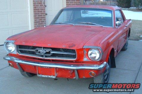 mustang1.jpg 