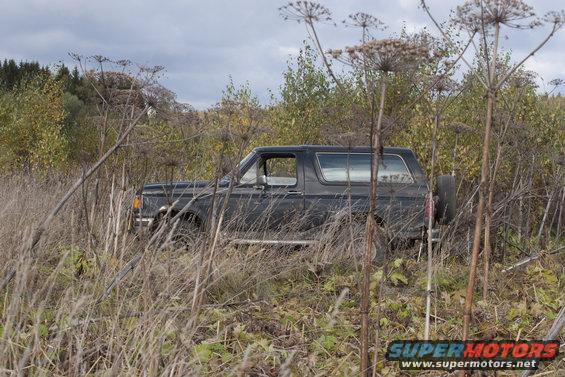 Dark 1987 Ford Bronco parked in tall dry grass and weeds, with trees in the background