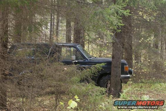 1987 Ford Bronco parked in a forest, partially obscured by trees