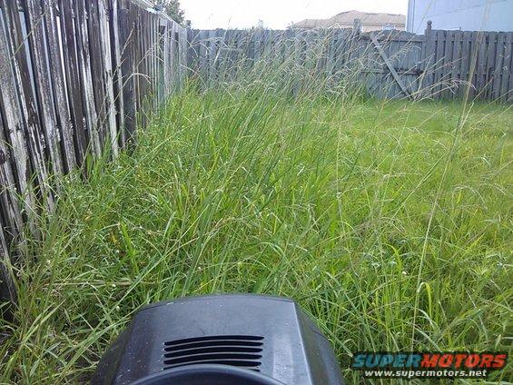 Black lawnmower in tall grass next to a wooden fence