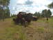 1995 Ford Bronco photo