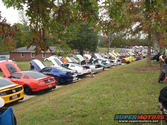Line of Ford Mustangs with hoods open, parked on a grassy slope