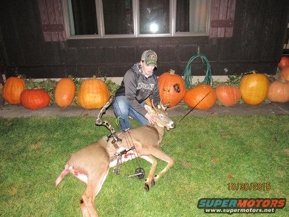 Person with bow and arrow next to a deer, with pumpkins in the background. Date 10/30/2015