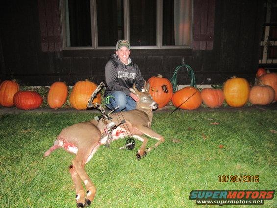 Person kneeling with a harvested deer and bow, pumpkins in background