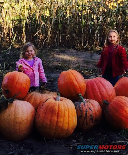 Two young girls stand among pumpkins in a field