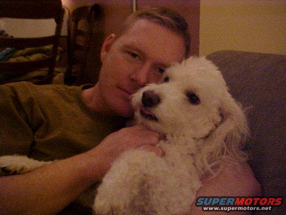 my-mason-dog.jpg my mason dog