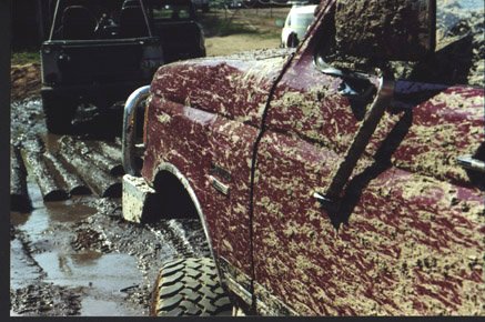 eric07.jpg New dent and no more Bronco emblem thanks to a tree.